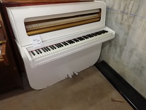 piano d'etude