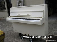 piano bord (youg chang)